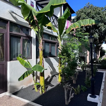 Casa Ana Puerto Del Carmen Appartement *